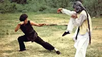 Backdrop to the movie "Mysterious Footworks of Kung Fu" #721900