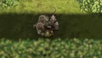 Backdrop to the movie "Over the Hedge" #713064