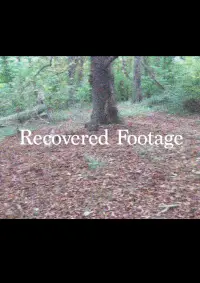 Poster to the movie "Recovered Footage" #1066707