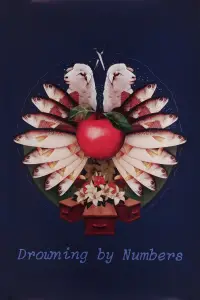 Poster to the movie "Drowning by Numbers" #1155366