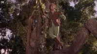 Backdrop to the movie "The Adventures of Robin Hood" #756920