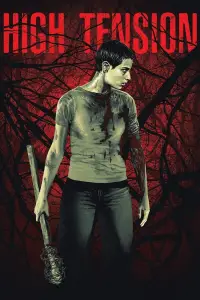 Poster to the movie "High Tension" #954086