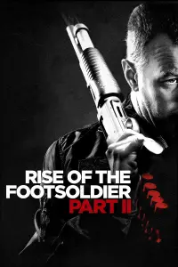Poster to the movie "Rise of the Footsoldier: Part II" #972923