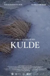 Poster to the movie "Kulde" #487651