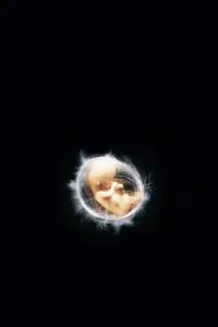 Poster to the movie "Children of Men" #626870