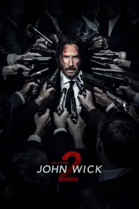 Poster to the movie "John Wick: Chapter 2" #912760