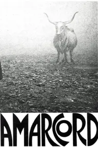 Poster to the movie "Amarcord" #745119
