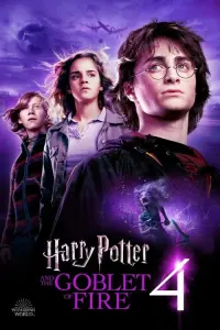 Poster to the movie "Harry Potter and the Goblet of Fire" #689738