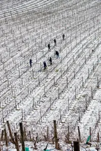 Poster to the movie "Moments of Resistance" #1080970