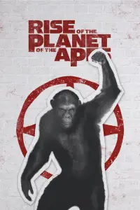 Poster to the movie "Rise of the Planet of the Apes" #922305