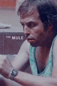 Poster to the movie "The Mule" #1164245