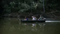 Backdrop to the movie "Boggy Creek II: And the Legend Continues" #721470