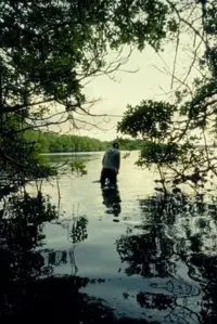 Poster to the movie "El Señor de las Ostras" #797509