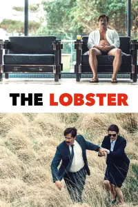 Poster to the movie "The Lobster" #676363