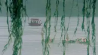 Backdrop to the movie "Green Snake" #787259