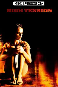 Poster to the movie "High Tension" #674139