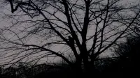 Backdrop to the movie "Birth" #830443