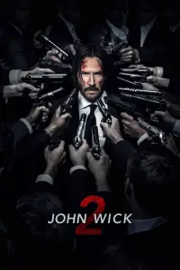Poster to the movie "John Wick: Chapter 2" #912792