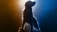 Backdrop to the movie "Air Bud Returns" #831300