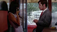 Backdrop to the movie "Pierrot le Fou" #693187