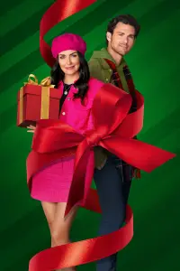 Poster to the movie "A Reason for the Season" #652807