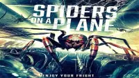 Backdrop to the movie "Spiders on a Plane" #964725