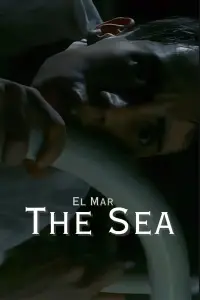 Poster to the movie "The Sea" #689703