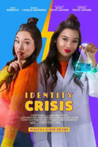 Poster to the movie "Identity Crisis" #1093160