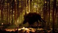 Backdrop to the movie "My Family and the Wolf" #715708
