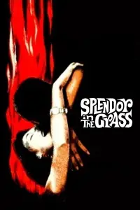 Poster to the movie "Splendor in the Grass" #1143505