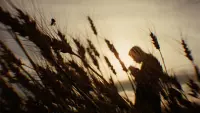 Backdrop to the movie "The Assassination of Jesse James by the Coward Robert Ford" #821003