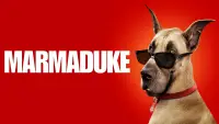 Backdrop to the movie "Marmaduke" #990339