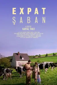 Poster to the movie "Expat Şaban" #689607