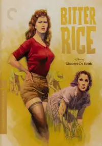Poster to the movie "Bitter Rice" #1112968