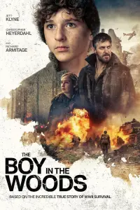 Poster to the movie "The Boy in the Woods" #1087559