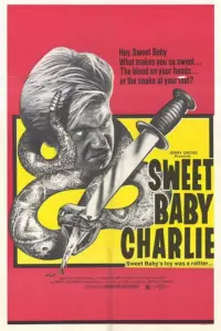 Poster to the movie "The Sadist" #1066742