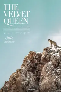 Poster to the movie "The Velvet Queen" #1175421