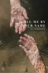 Poster to the movie "Call Me by Your Name" #37199