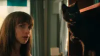 Backdrop to the movie "Cat Call" #771195