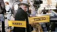 Backdrop to the movie "Harry and Tonto" #554734