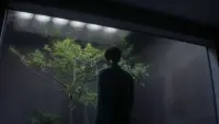 Backdrop to the movie "Ex Machina" #741303