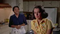 Backdrop to the movie "Imitation of Life" #525351