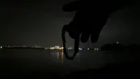 Backdrop to the movie "No Love, Deep Web" #575222