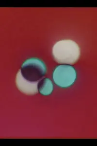 Poster to the movie "Ritual" #196992