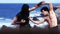 Backdrop to the movie "Kung Pow: Enter the Fist" #734093