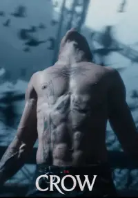 Poster to the movie "The Crow" #919335