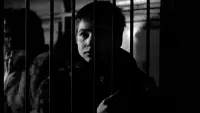 Backdrop to the movie "The 400 Blows" #822389