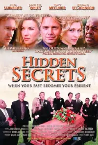 Poster to the movie "Hidden Secrets" #1014677