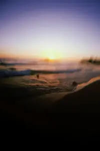 Poster to the movie "Upcoming Wave" #785470