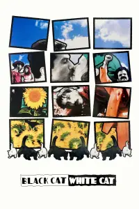 Poster to the movie "Black Cat, White Cat" #799071
